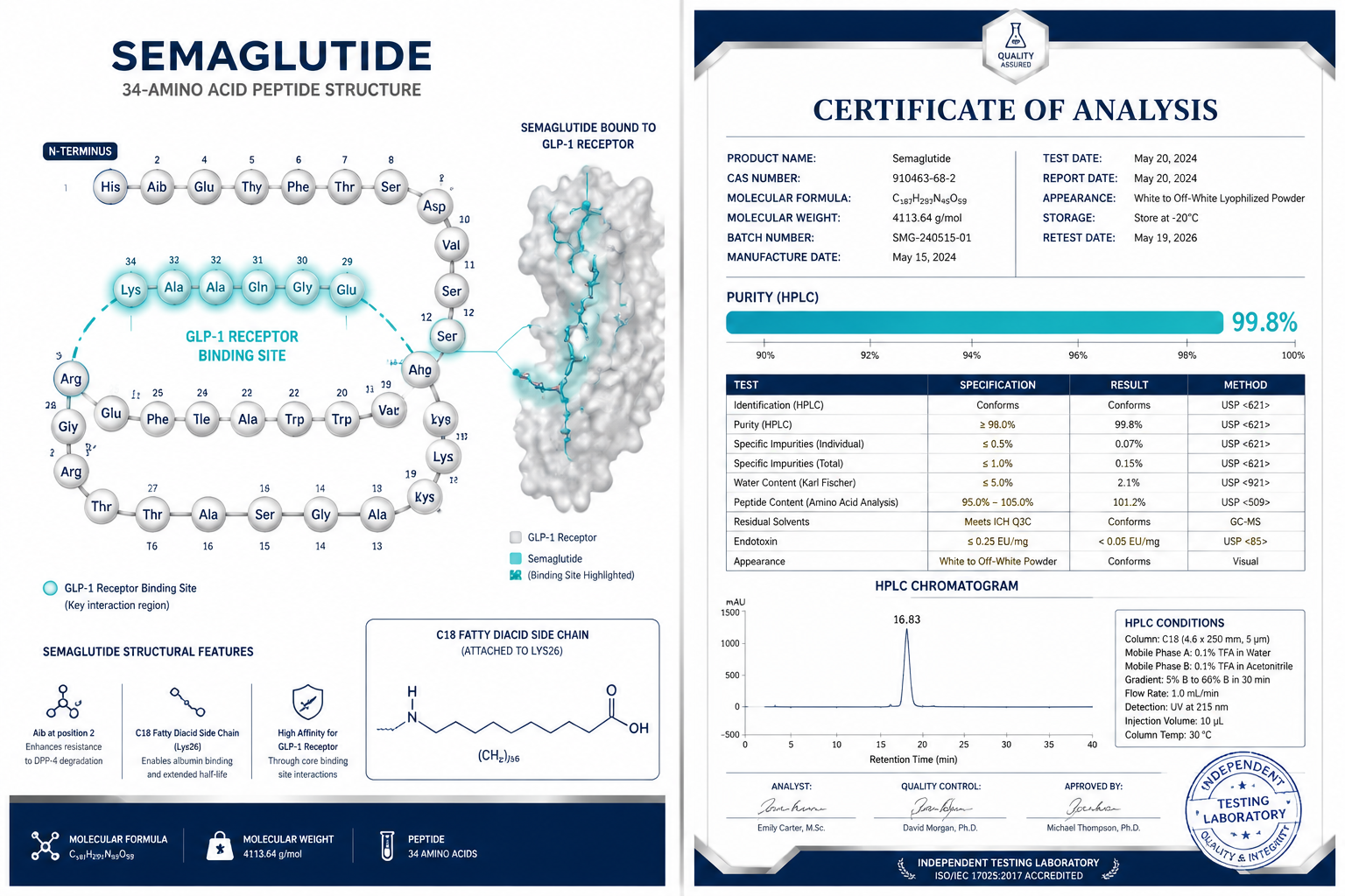 Detailed () scientific infographic illustration showing a split-panel composition: left panel displays a molecular diagram